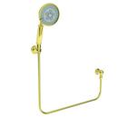 Newport Brass Forever Brass - PVD Multi Function Hand Shower 