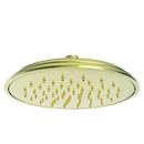 Newport Brass Forever Brass - PVD Single Function Rainfall Showerhead 