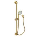 Multi Function Hand Shower in Satin Bronze - PVD