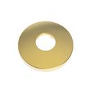 Brass Escutcheon in Polished Gold - PVD