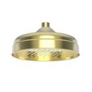 Newport Brass Forever Brass - PVD Single Function Rain Showerhead 