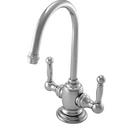 Newport Brass Polished Chrome 1 gpm 1 Hole Deck Mount Hot and Cold Water Dispenser with Double Lever Handle 