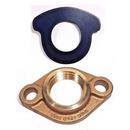 2 in. Brass Oval Flanged with Gasket