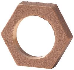 2 in. FNPT Brass Hex Locknut