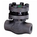 Vogt Valves 3/4 Stainless Steel 800# Threaded Bolted Bonnet Piston Check Valve 