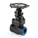 Neway Valve Forged Steel Full Port Socket Weld Gate Valve 