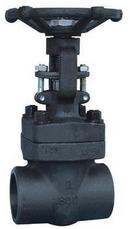 Neway Valve Forged Steel Full Port Socket Weld Gate Valve 