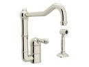 Single Handle Kitchen Faucet with Side Spray in Polished Nickel