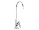 Single Handle Lever Handle Water Filter Faucet in Polished Chrome