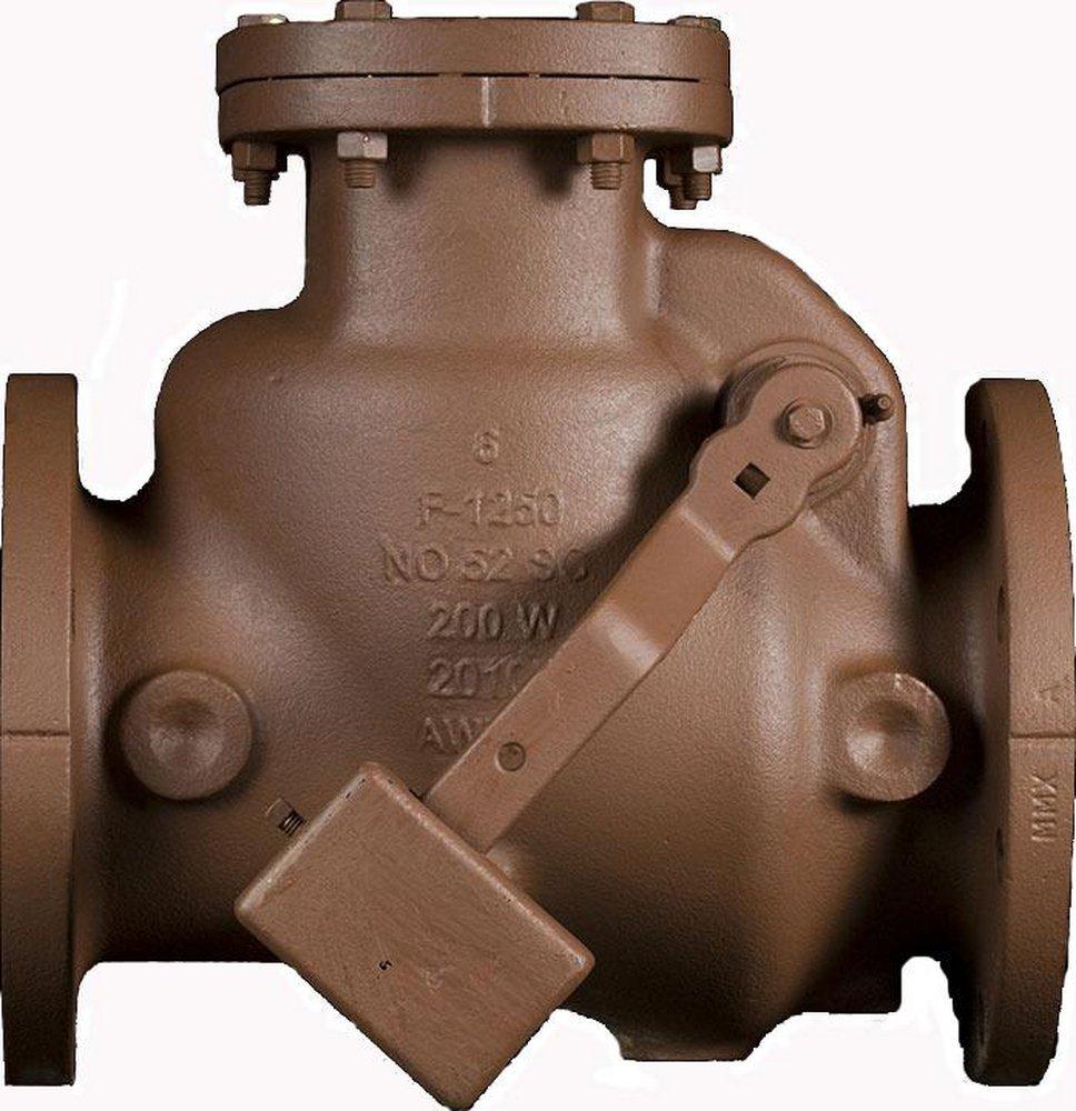 American Flow Control Epoxy Coated Cast Iron Flanged Check Valve 