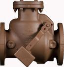 American Flow Control Epoxy Coated Cast Iron Flanged Check Valve 