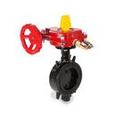 6 in. Ductile Iron Wafer Gear Operator Butterfly Valve