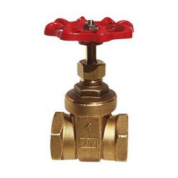 1/2 in. Brass NPT Gate Valve