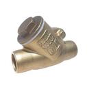 Red-White Valve Brass Solder Swing Check Valve 