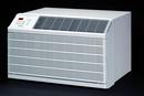 9500 Btu/h R-410A 9.6 EER Through the Wall Room Air Conditioner