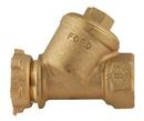 1 in. Meter Yoke x FIPT Brass Straight Single Check Valve