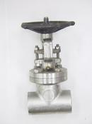 3/4 in. Stainless Steel Conventional Port FNPT Gate Valve