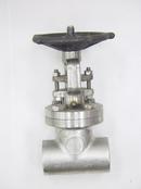 Vogt Valves Stainless Steel Standard Port FNPT Gate Valve 