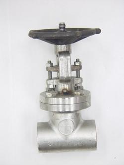 3/4 in. Stainless Steel Conventional Port Socket Weld Gate Valve