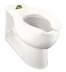 KOHLER White Elongated Toilet Bowl 