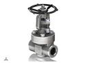 Vogt Valves Forged Steel Standard Port Socket Weld Gate Valve 