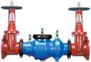 10 in. Ductile Iron Flanged 350 psi Backflow Preventer