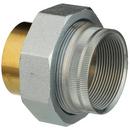 Zurn Wilkins Polished Steel FIPT Dielectric Pipe Fitting 