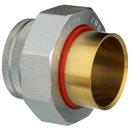 Zurn Wilkins Polished Steel FIPT Dielectric Pipe Fitting 