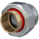 1-1/2 x 1-1/2 in. FIPT Dielectric Pipe Fitting
