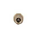 Zurn Wilkins Cast Bronze Cast Bronze Union FNPT x FNPT 175 psi Backflow Preventer 