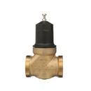 2 in. 400 psi Cast Bronze, Buna-N and 300 Stainless Steel Double Union FNPT Pressure Reducing Valve