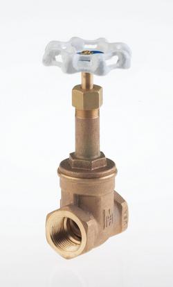 1/2 in. Bronze Threaded Gate Valve