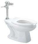 Zurn White 1.6 gpf Elongated One Piece Toilet 