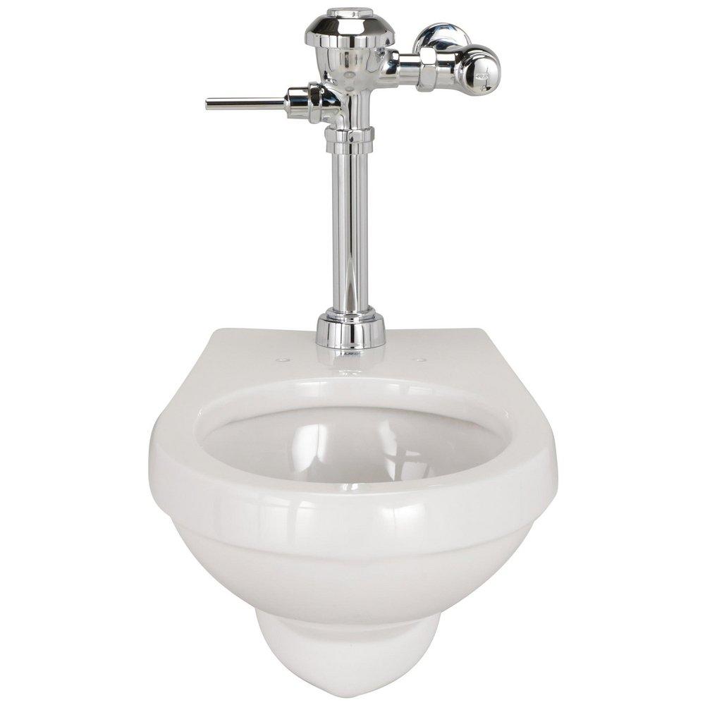 Zurn White Elongated Wall Mount Toilet 