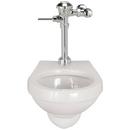Zurn White Elongated Wall Mount Toilet 