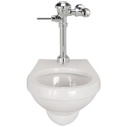 1.28 gpf Elongated Wall Mount Toilet and Manual Flush Valve