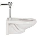 Zurn White Elongated Wall Mount Toilet 