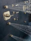 Brizo Polished Nickel Single Handle Bathtub & Shower Faucet (Trim Only) 