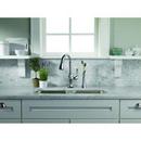 Brizo Stainless Single Handle Pull Down Kitchen Faucet 