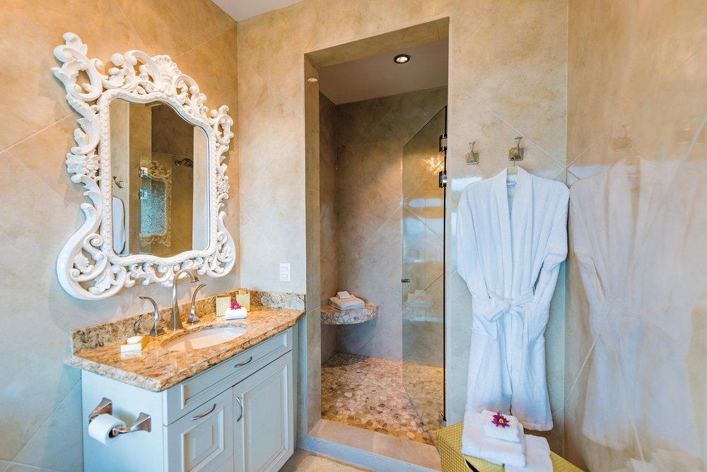 Brizo Brushed Nickel Wall Mount Toilet Tissue Holder 