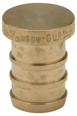 1/2 x 14/25 in. Hot and Cold Water Systems Test Plug