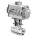 1 in. Stainless Steel Standard Port NPT 2000# Fire-Tite Ball Valve w/PTFE Seats