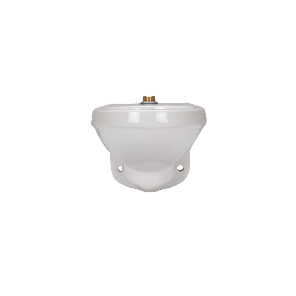 Zurn White Elongated Wall-Mount Toilet 
