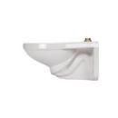 Zurn White Elongated Wall-Mount Toilet 