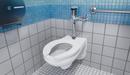 Zurn White Elongated Wall-Mount Toilet 