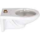Zurn White Elongated Toilet Bowl 