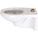 Zurn White Elongated Toilet Bowl 