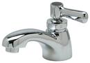 Bathroom Sink Faucet in Polished Chrome