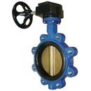 FNW&reg; Ductile Iron EPDM Gear Operator Handle Butterfly Valve 