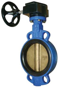 8 in. Cast Iron Buna Gear Operated Wafer Butterfly Valve